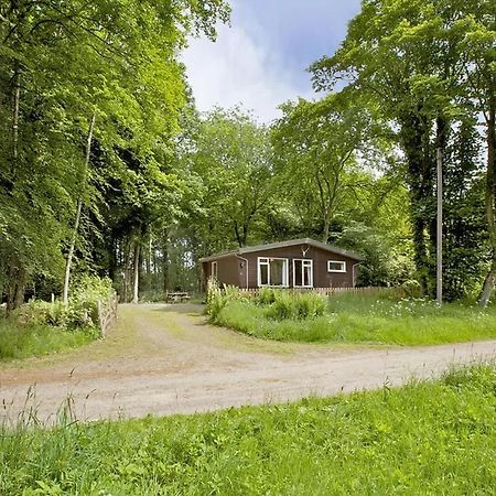 Satchwell Chalet On Reelig Estate Near Inverness Villa Kirkhill Exterior photo